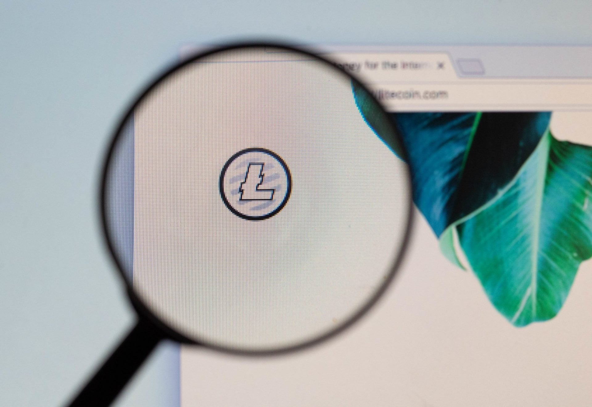 Litecoin Foundation Board Reassures Crypto Community After "FUD" 21