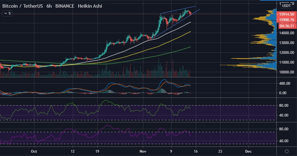 Bitcoin (BTC) is in Bubble Territory - Crypto Analyst 13