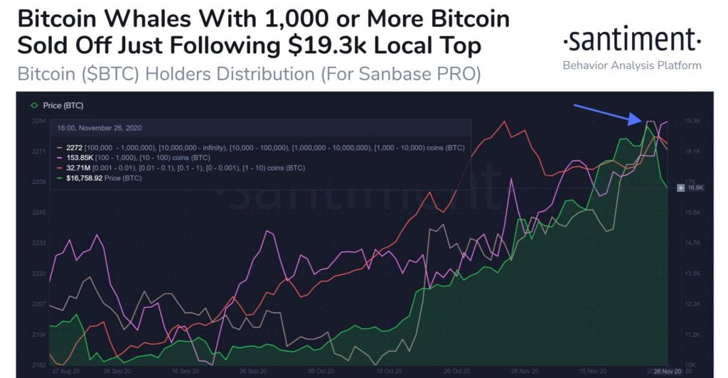 Bitcoin Whales with 1,000 or more BTC Sold Their Bags at $19,300 15