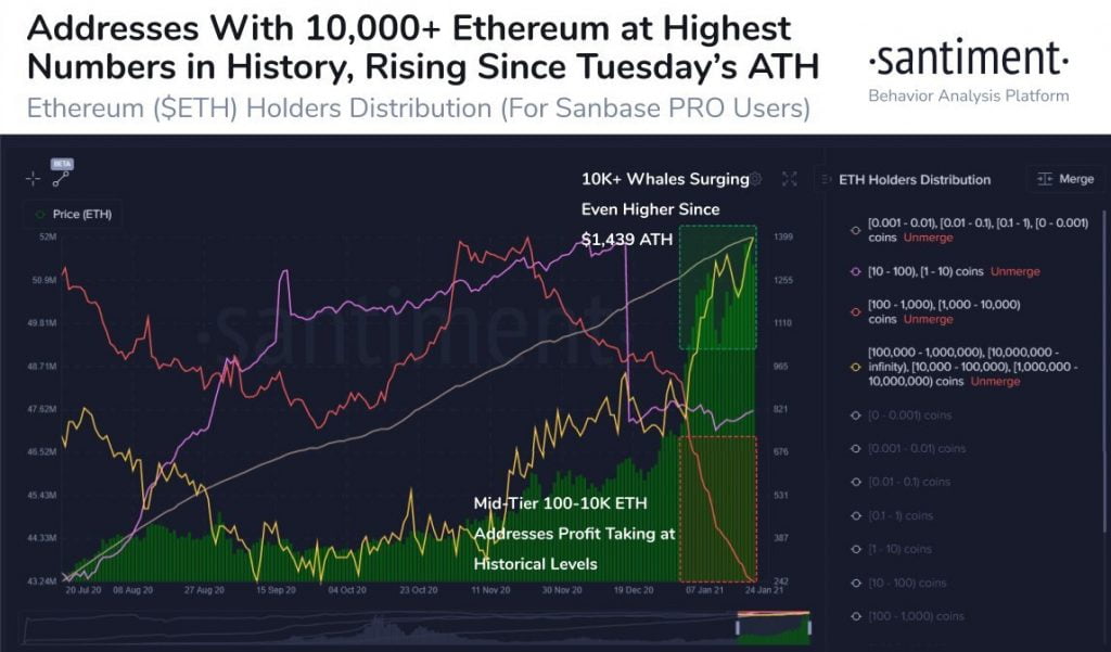 Ethereum Whales Are Increasing as Smaller ETH Addresses Take Profits 13