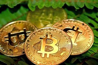 Bitcoin (BTC) is Digital Property - Michael Saylor 22