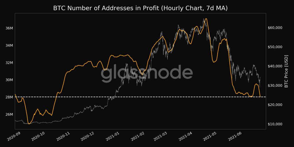Bitcoin (BTC) Addresses in Profit Hit an 8-Month Low of 28M 19
