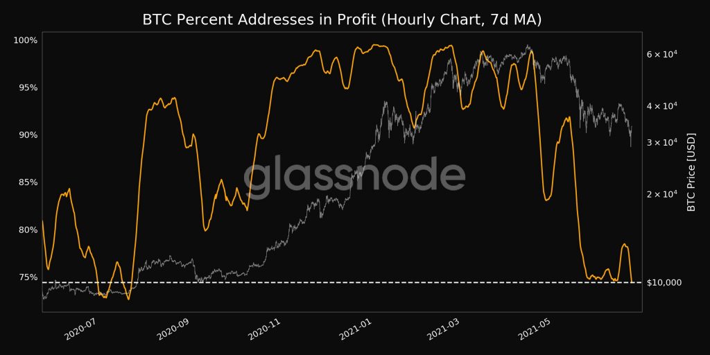 Bitcoin (BTC) Addresses in Profit Hit an 8-Month Low of 28M 13