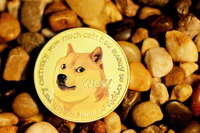 Dogecoin (DOGE) Has Corrected by 71% Since Elon Musk's SNL Peak Value 12