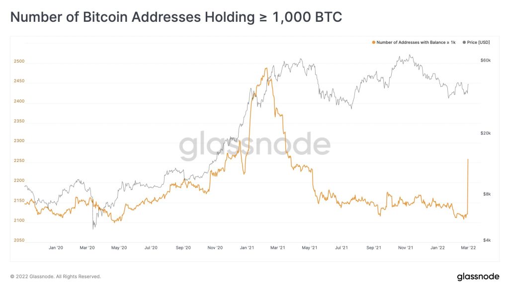 Bitcoin Addresses Hodling 1k+ BTC Spikes But It Isn't Whales 16