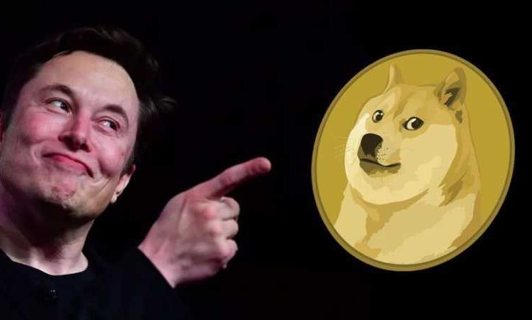 Twitter Owner Elon Musk’s Shiba Inu Tweet Makes Dogecoin Gain 22% in Just 4 Hours 11