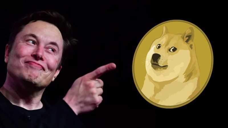Dogecoin Pumps By Over 10% On Elon Musk's Tweets That He'll Keep Supporting and Buying DOGE 11