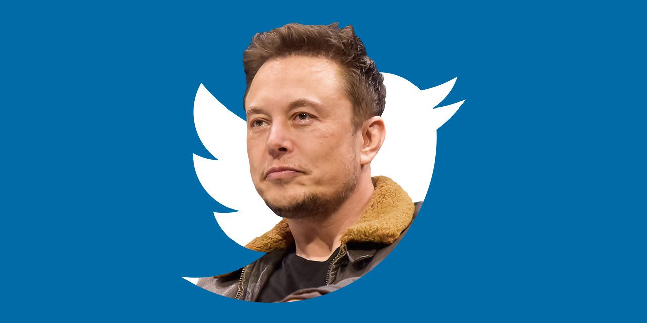 Twitter Stocks Moon as Elon Musk Apes Into Company Shares with $3 Billion -  Ethereum World News
