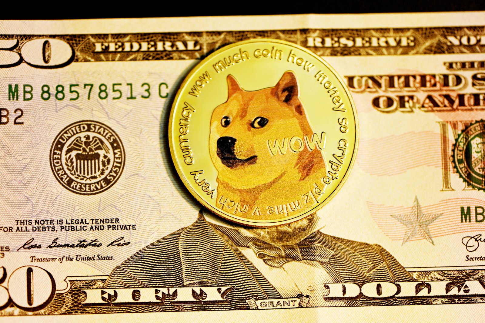Dogecoin (DOGE) Gets Elon Musk’s Nod as a Price Likelihood for Tesla and SpaceX Merchandise thumbnail