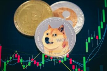 Elon Musk Being Sued Over Dogecoin Does Not Mean He is Guilty, Says CZ 18