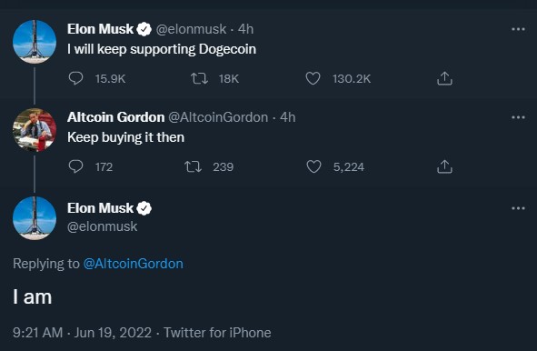 Dogecoin Pumps By Over 10% On Elon Musk's Tweets That He'll Keep Supporting and Buying DOGE 16