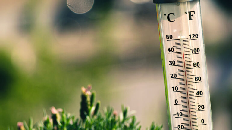 DOJ Joins Other Regulators in Objecting to Celsius’ Motion To Return Funds
