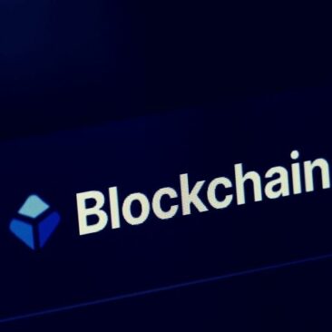 Blockchain.com Investors Remain Undeterred Despite Ruthless Crypto Winter 16