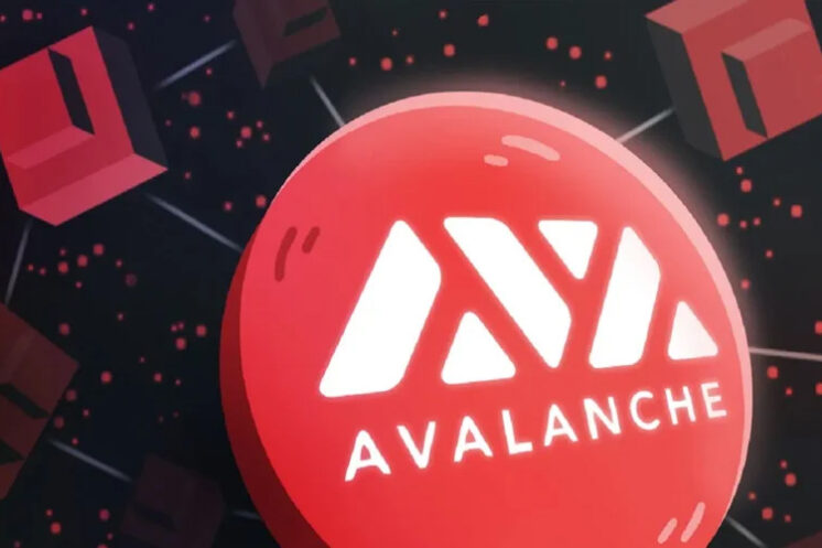 Amazon And Avalanche To Bring Scalable Blockchain Solutions to Enterprises and Governments 13