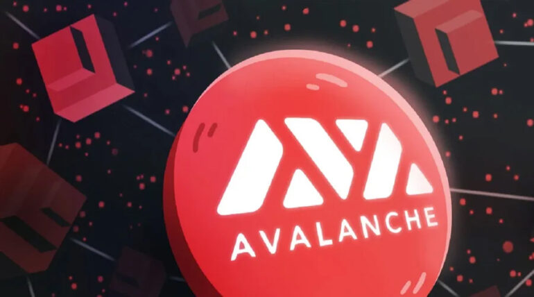 Amazon And Avalanche To Bring Scalable Blockchain Solutions to Enterprises and Governments 14