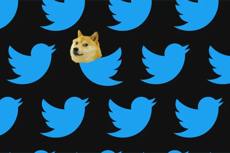 Dogecoin Tanks 8% After Twitter Removes Logo From Its Homepage 18