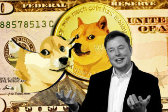 Dogecoin Investors Accuse Elon Musk Of Insider Trading 17