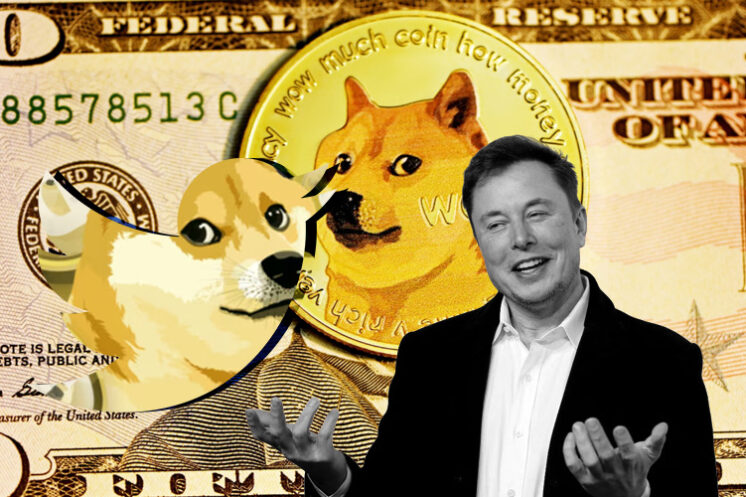 Dogecoin Investors Accuse Elon Musk Of Insider Trading 8