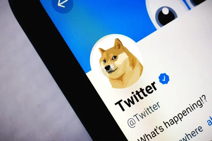 Dogecoin Gains 10% Following Twitter’s Rebranding As X 22